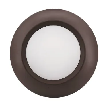 4 Inch LED Cusp Disk Light, 10 Watt, 650 Lumens, CCT Selectable, 120V (Available in Bronze and White)