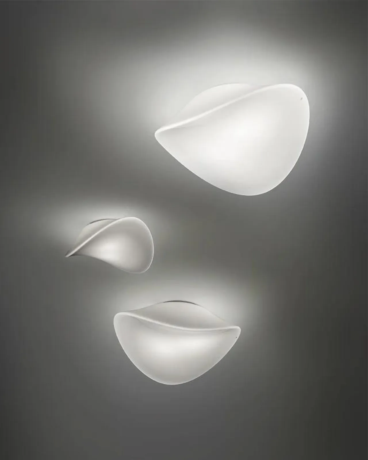 Contemporary Glass Wall & Ceiling Light