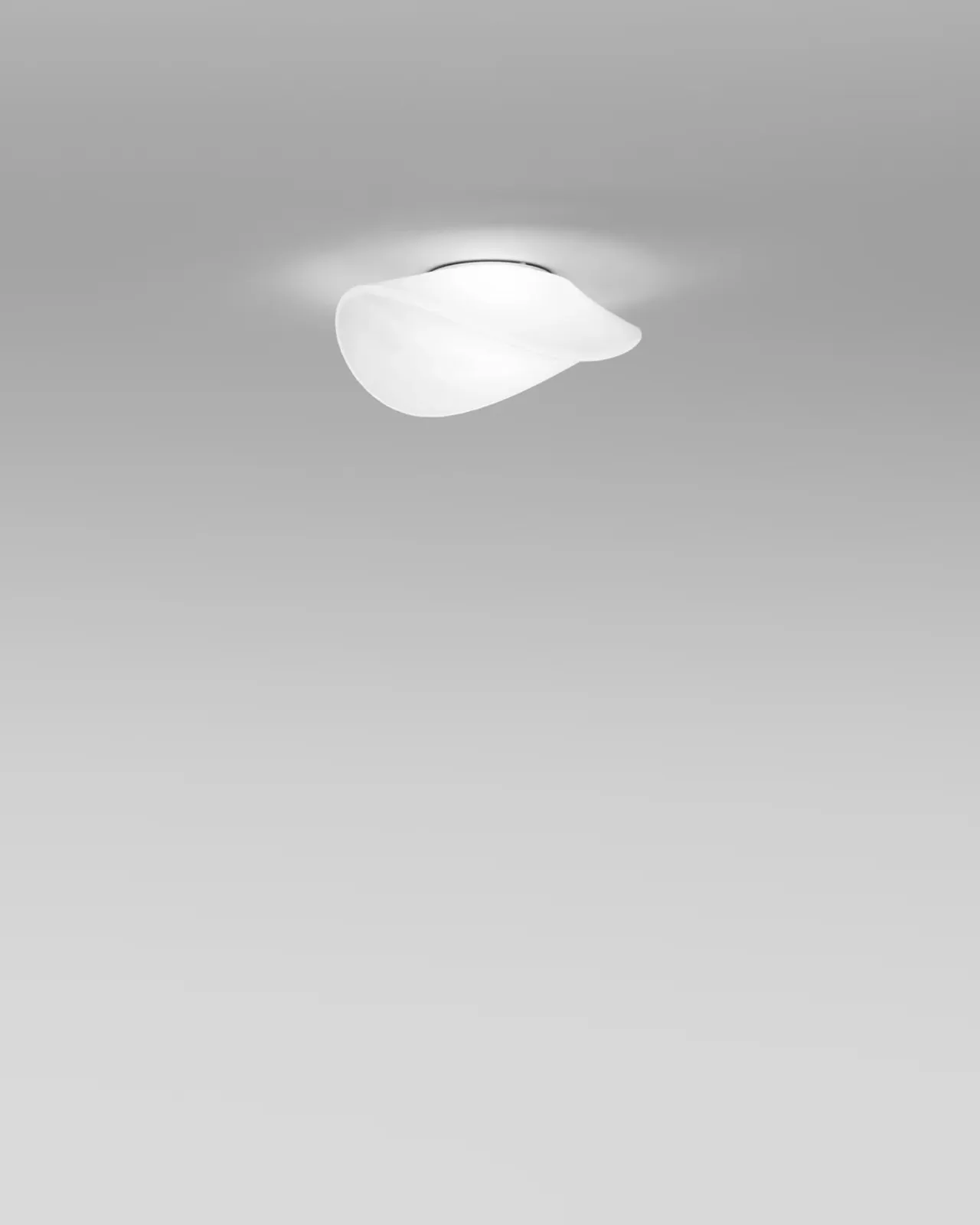 Contemporary Glass Wall & Ceiling Light