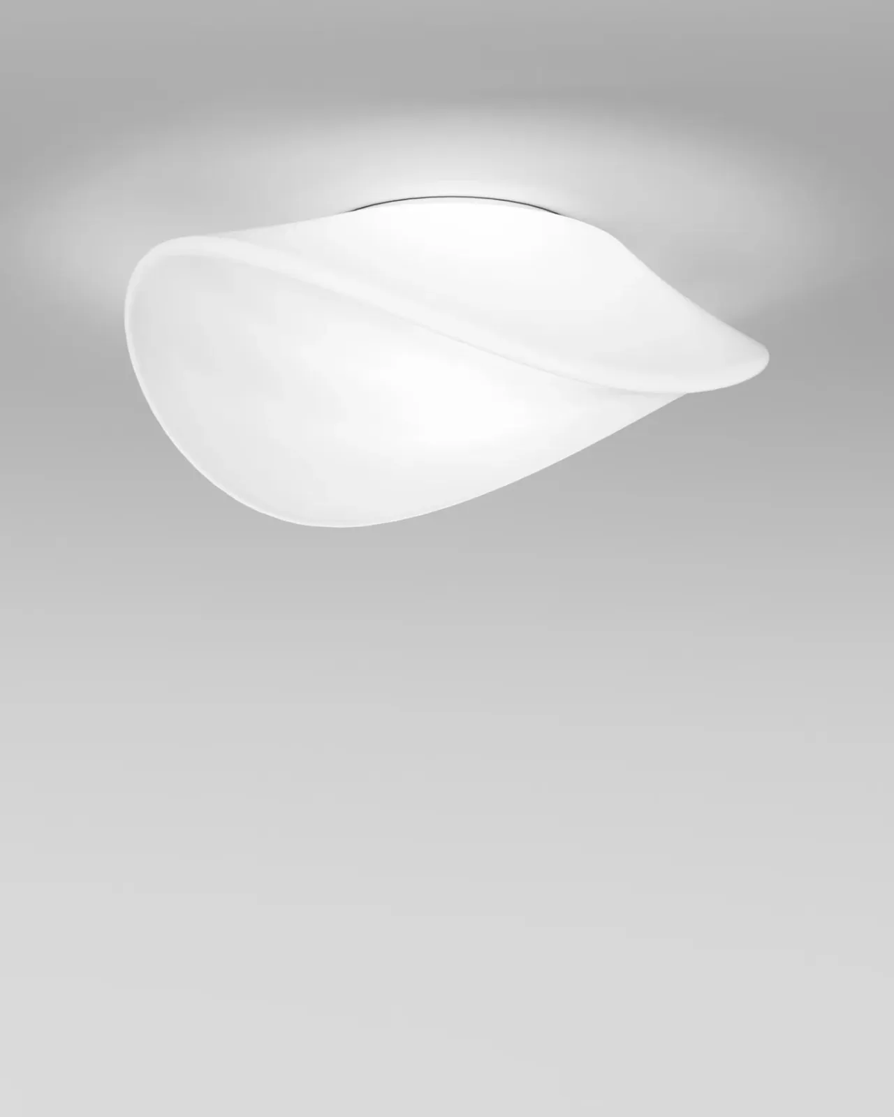 Contemporary Glass Wall & Ceiling Light