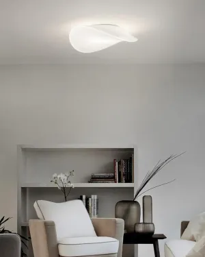 Contemporary Glass Wall & Ceiling Light