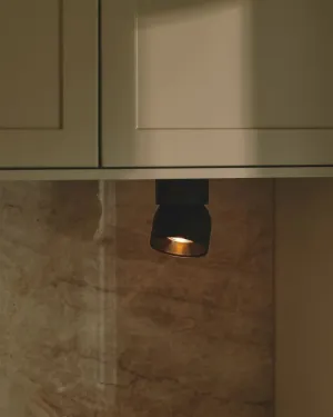 Extended Tilted Hinge Ceiling Light