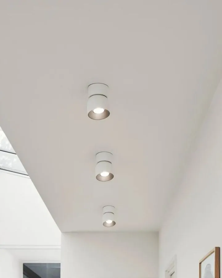 Extended Tilted Hinge Ceiling Light