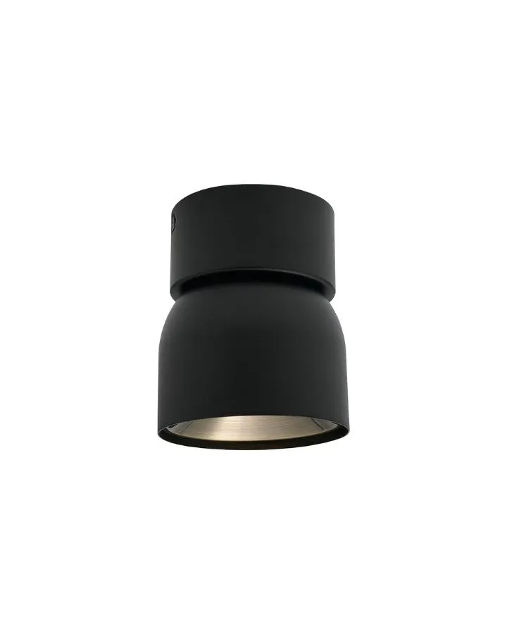 Extended Tilted Hinge Ceiling Light