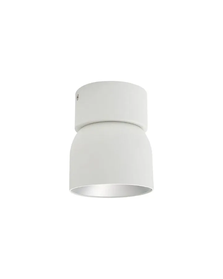 Extended Tilted Hinge Ceiling Light