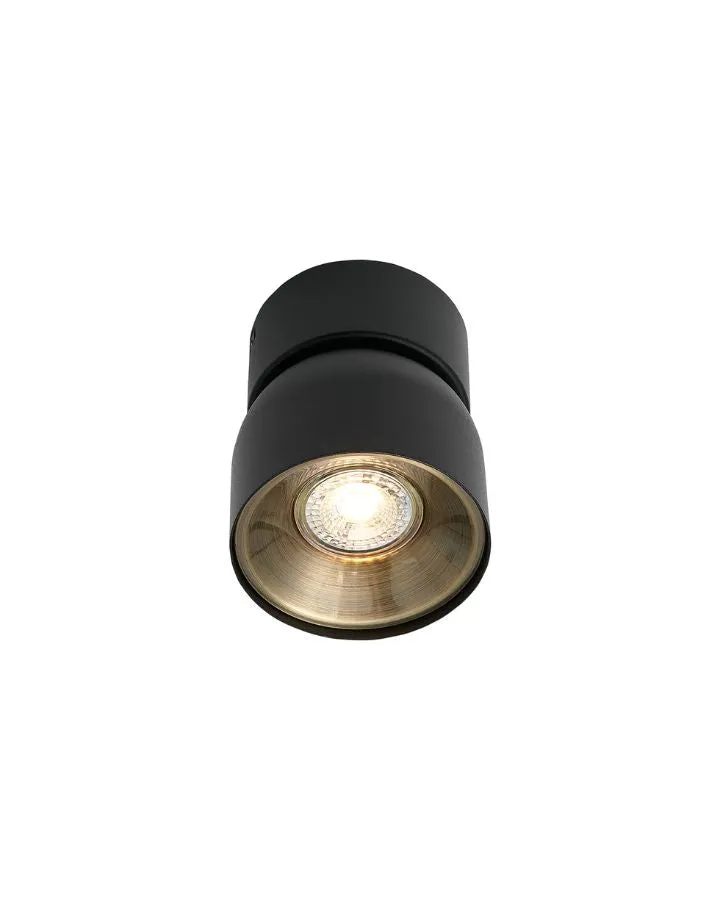 Extended Tilted Hinge Ceiling Light