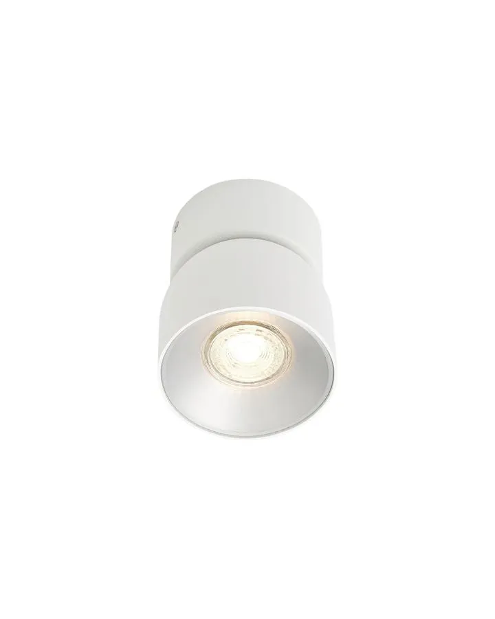Extended Tilted Hinge Ceiling Light
