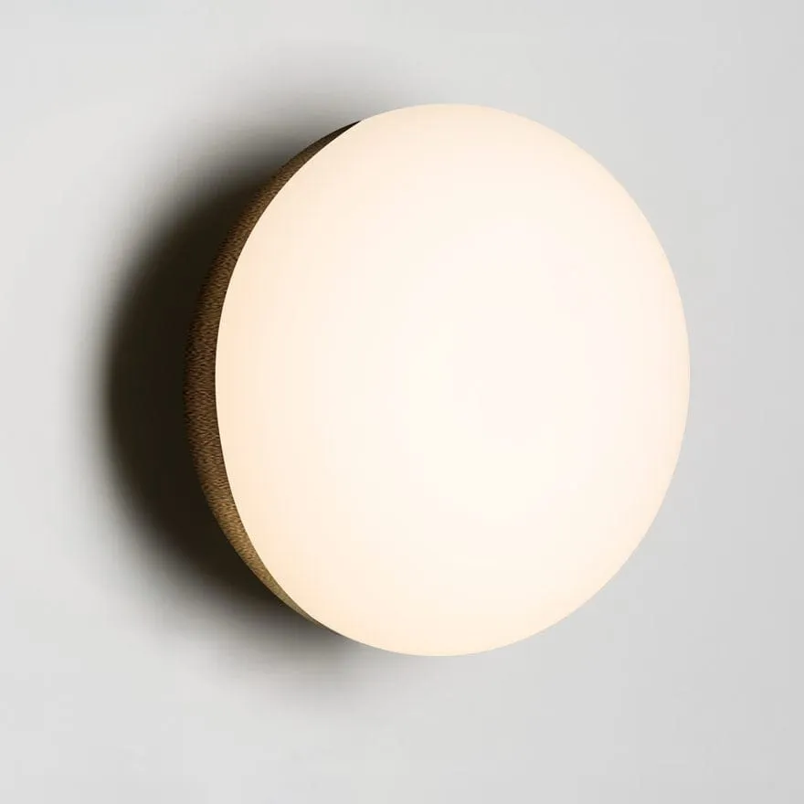 FORTE 12V LED WALL LIGHT