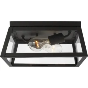 Founders 2 Light 12" Black Outdoor Flush Mount