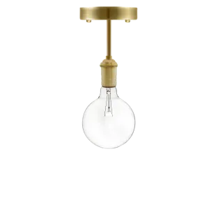 Long Flush Mount: Brass Clear Globe