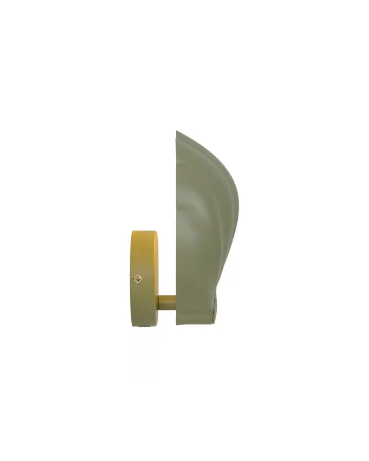 Modern Matte Shell Wall Light