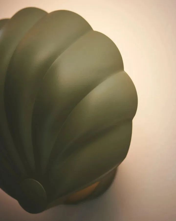 Modern Matte Shell Wall Light