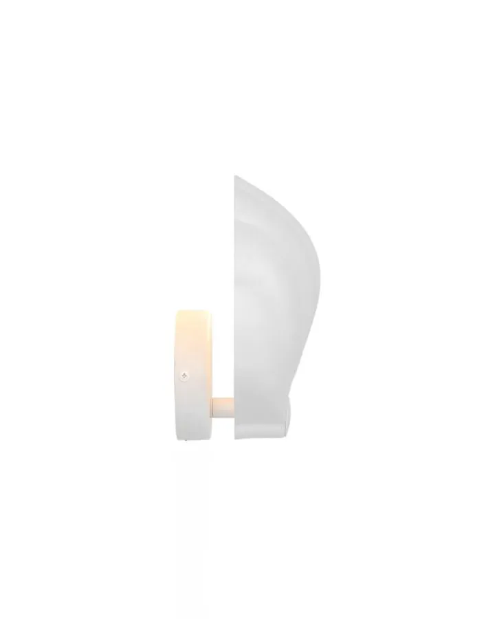 Modern Matte Shell Wall Light