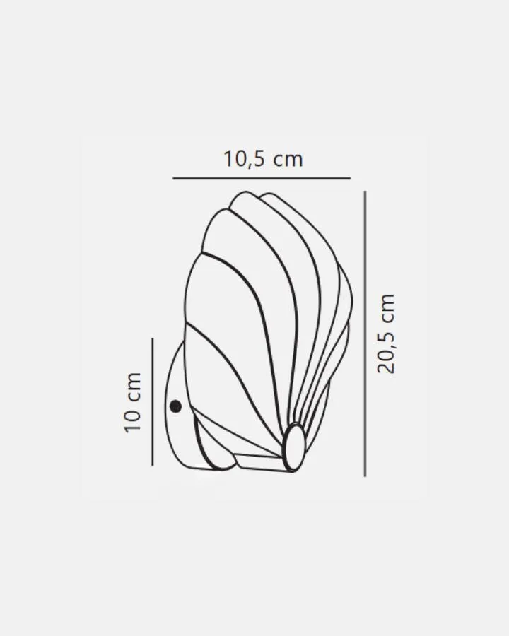 Modern Matte Shell Wall Light