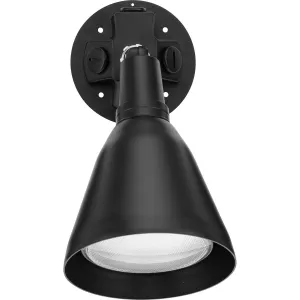 One-Light Adjustable Swivel Flood Light