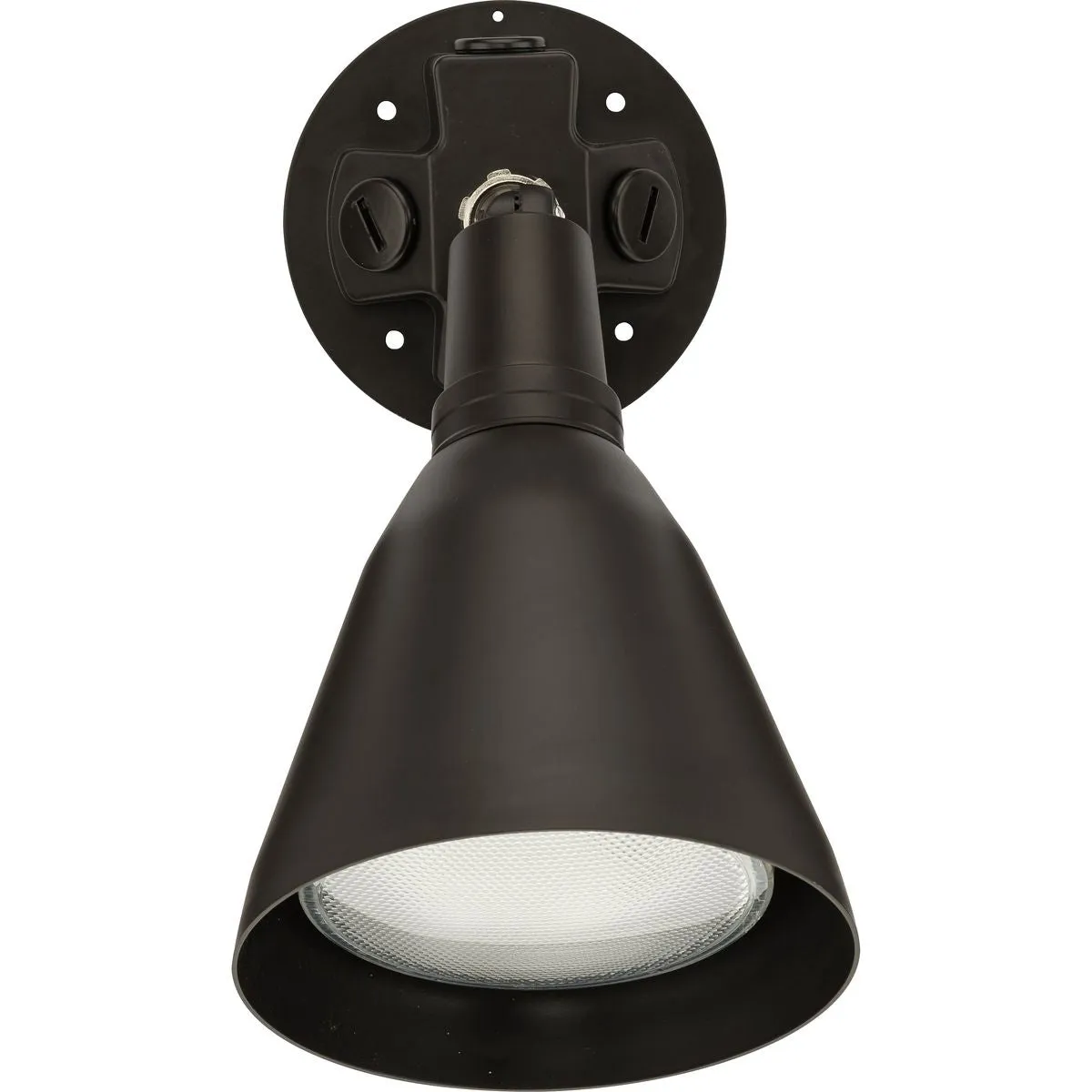 One-Light Adjustable Swivel Flood Light