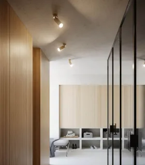 Semi Flush Industrial Spotlight