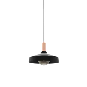 Single Pendant: Black and Copper with Industrial Shade