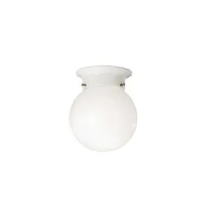 Wagner Ceiling Mount
